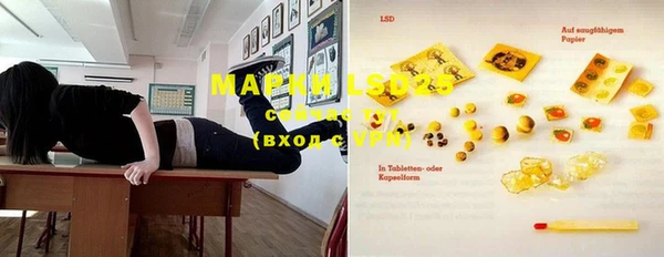 PSILOCYBIN Богородицк