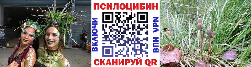 Галлюциногенные грибы Magic Shrooms  Верея 